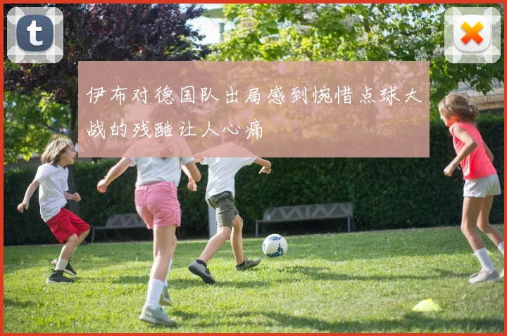 伊布对德国队出局感到惋惜点球大战的残酷让人心痛